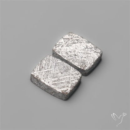 Rare Gibeon Meteorites Pair