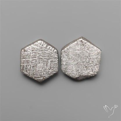 Rare Gibeon Meteorites Pair