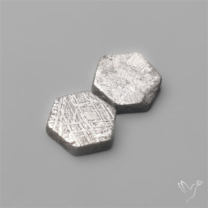 Rare Gibeon Meteorites Pair