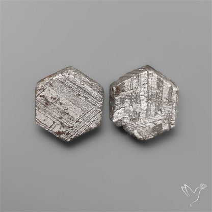 Rare Gibeon Meteorites Pair
