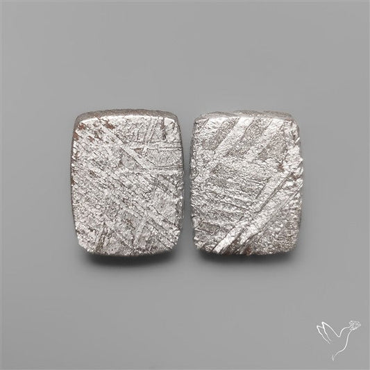 Rare Gibeon Meteorites Pair
