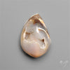 Snail Shell Druzy