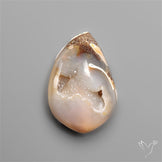 Snail Shell Druzy
