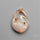 Snail Shell Druzy