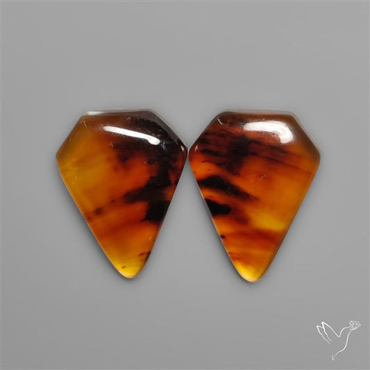 Montana Agates Pair