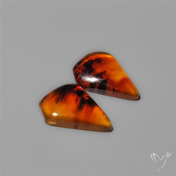Montana Agates Pair