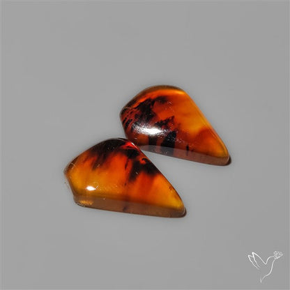 Montana Agates Pair