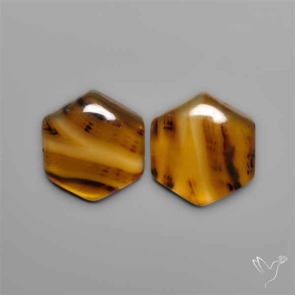Montana Agates Pair