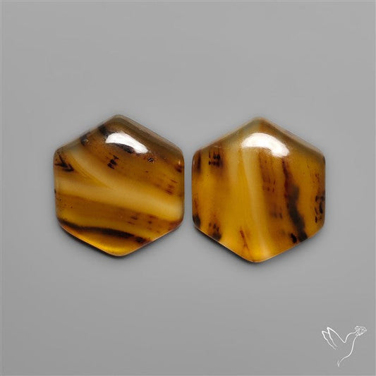 Montana Agates Pair