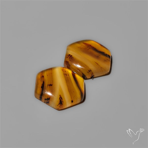 Montana Agates Pair