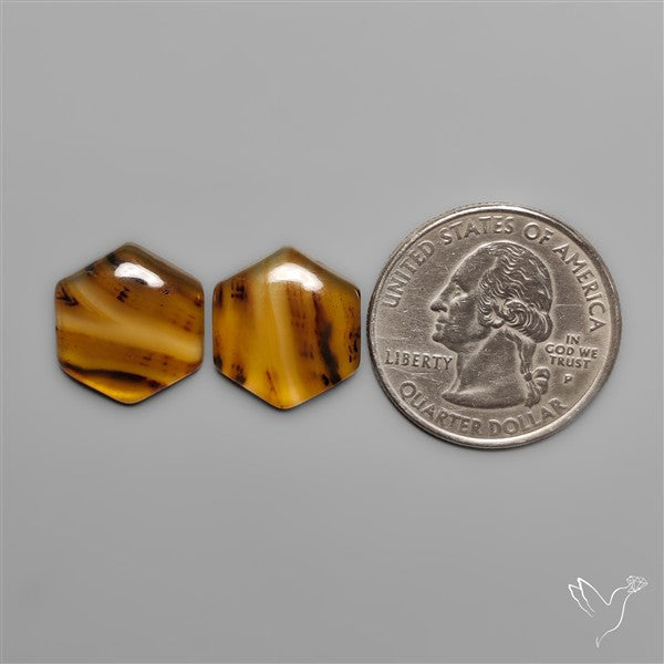 Montana Agates Pair