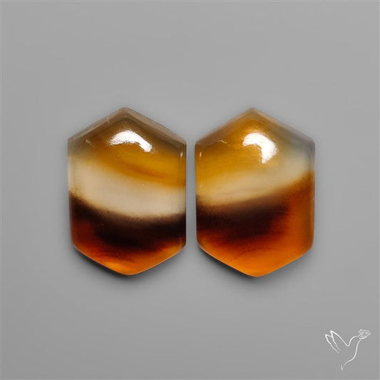 Montana Agates Pair