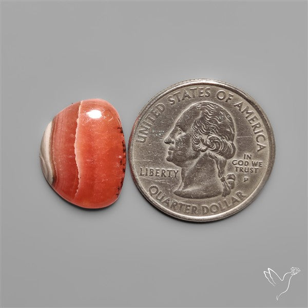 Gemmy Rhodochrosite Cabochon Deep Red