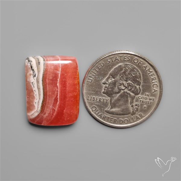 Gemmy Rhodochrosite Cabochon Deep Red