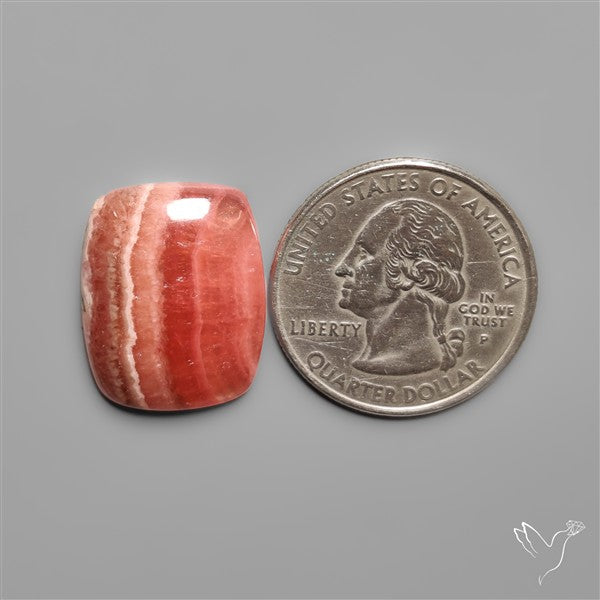 Gemmy Rhodochrosite Cabochon Deep Red