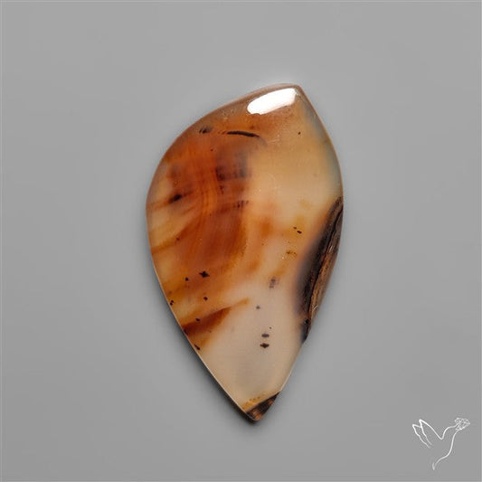Montana Agate Cabochon