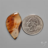 Montana Agate Cabochon
