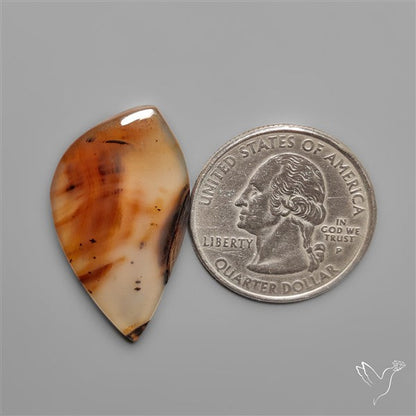 Montana Agate Cabochon