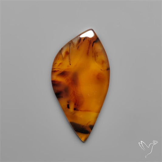 Montana Agate Cabochon