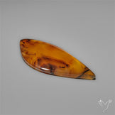 Montana Agate Cabochon