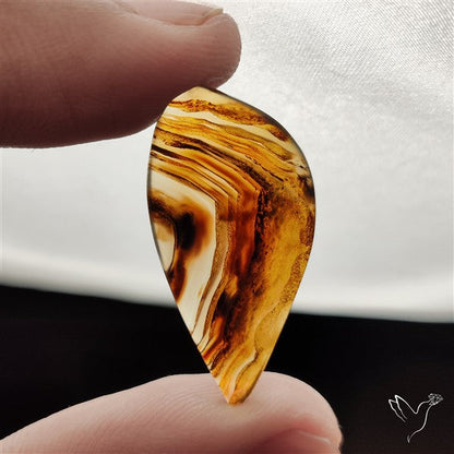 Montana Agate Cabochon