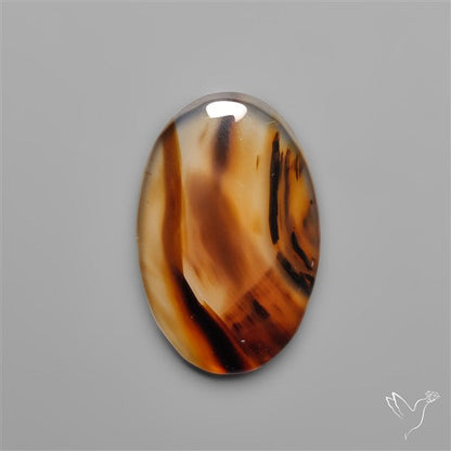 Montana Agate Cabochon