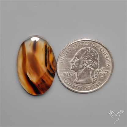 Montana Agate Cabochon