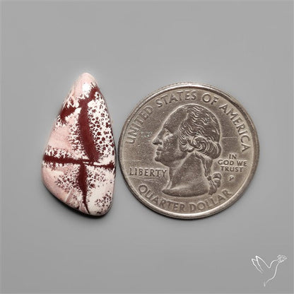 Sonoran Dendritic Rhyolite Cabochon