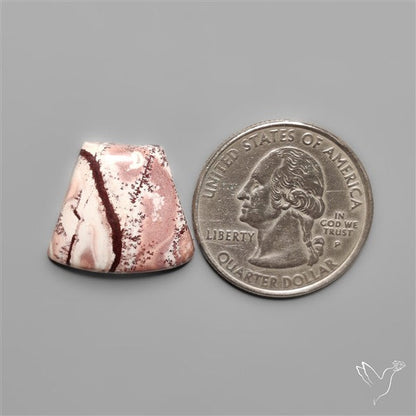 Sonoran Dendritic Rhyolite Cabochon