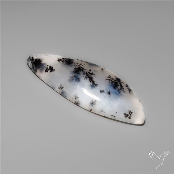 Dendritic Agate Cabochon