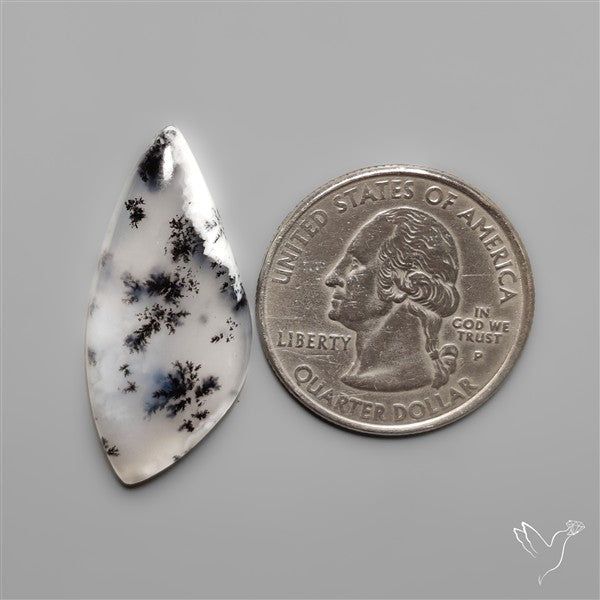 Dendritic Agate Cabochon