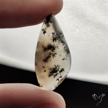 Dendritic Agate Cabochon