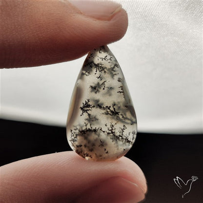 Dendritic Agate Cabochon