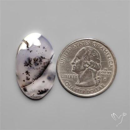 Dendritic Agate Cabochon