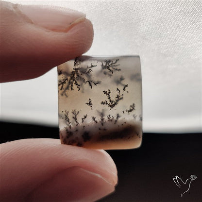 Dendritic Agate Cabochon
