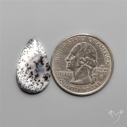 Dendritic Agate Cabochon
