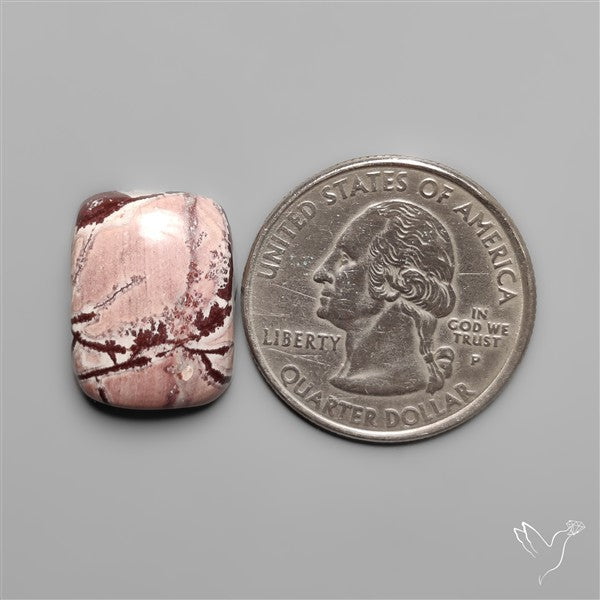 Sonoran Dendritic Rhyolite Cabochon