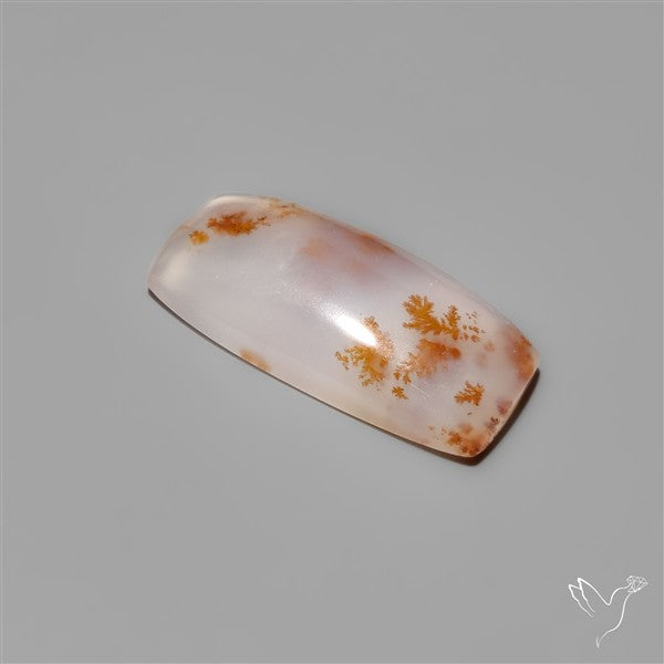 Russian Dendritic Agate Cabochon
