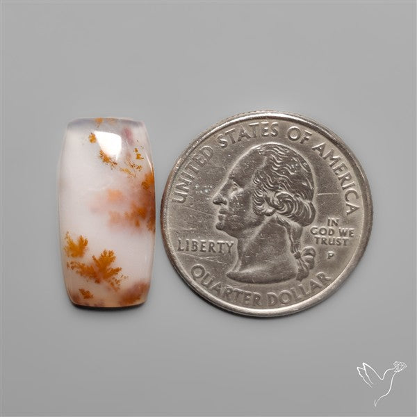 Russian Dendritic Agate Cabochon
