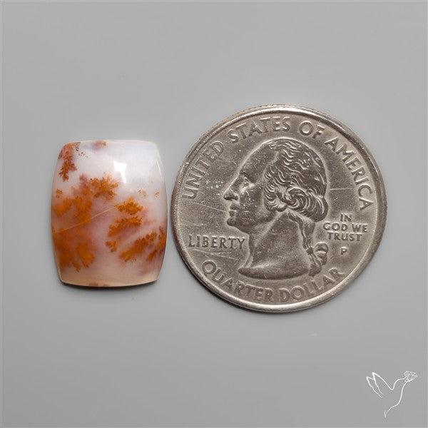 Russian Dendritic Agate Cabochon