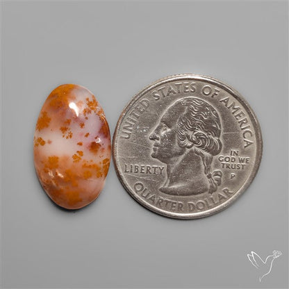 Russian Dendritic Agate Cabochon