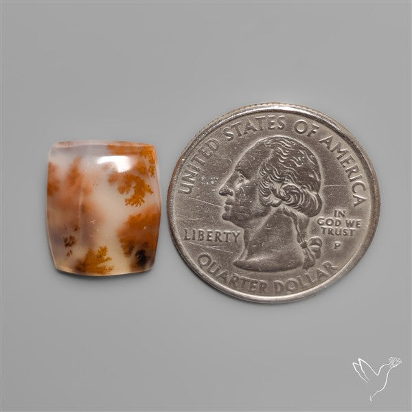 Russian Dendritic Agate Cabochon