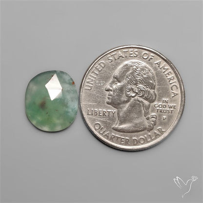 Rose Cut Aqua Chrysoprase