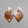 Russian Dendritic Agates Pair