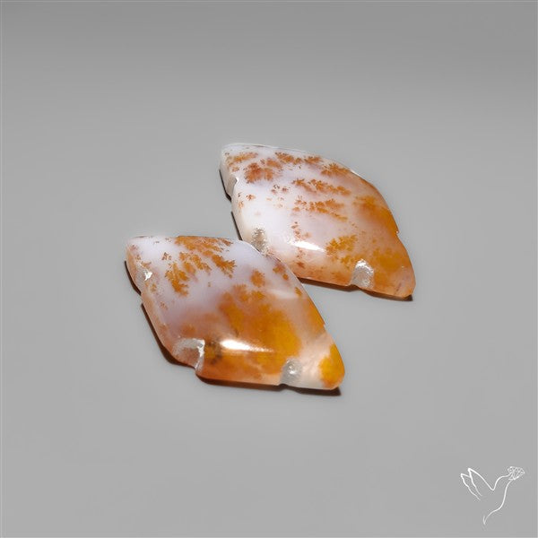 Russian Dendritic Agates Pair