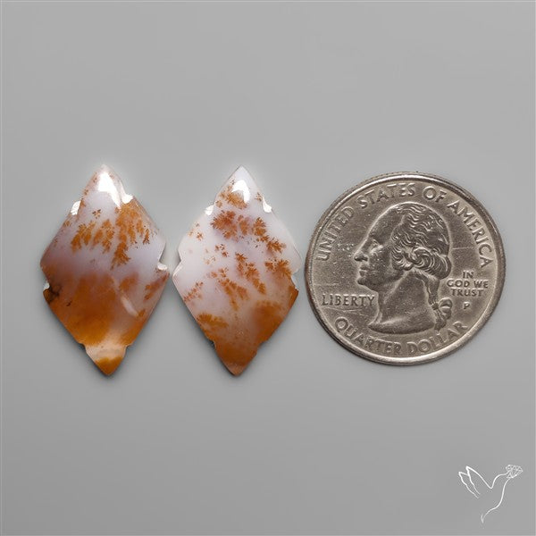 Russian Dendritic Agates Pair