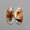 Russian Dendritic Agates Pair