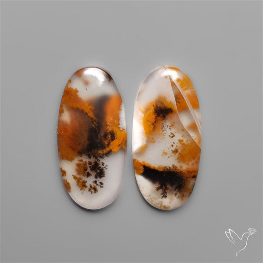 Russian Dendritic Agates Pair