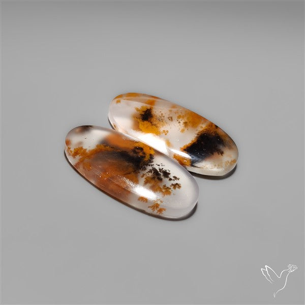 Russian Dendritic Agates Pair