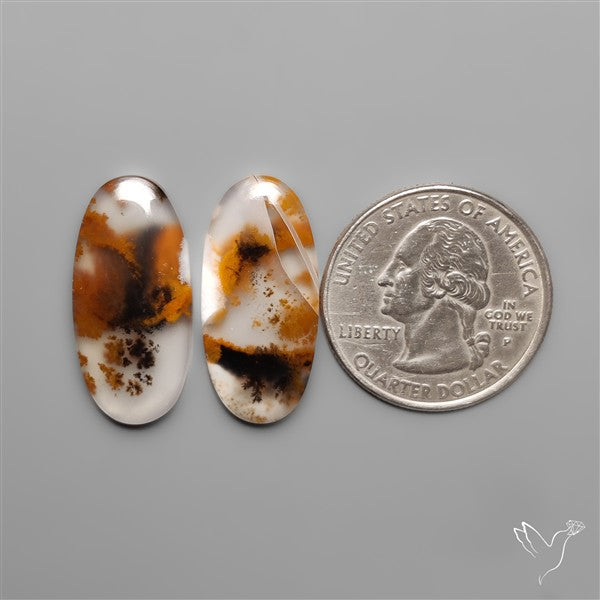 Russian Dendritic Agates Pair